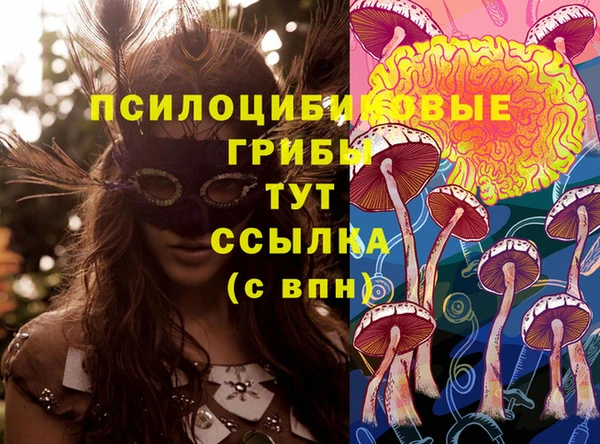 кокс Армянск