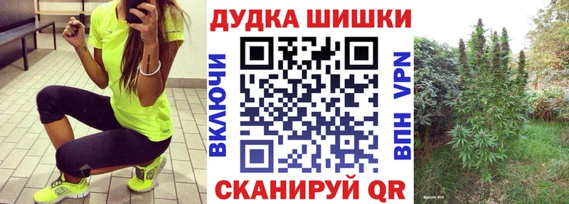 купить наркоту  Зерноград  Бошки Шишки SATIVA & INDICA 